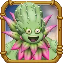 Barrb (Adult, DoF)