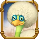 Dandidoo (Adult, DoF)