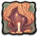 Faesoddoid Fungus