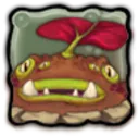 Maulch