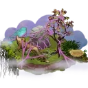 Mirror Plant