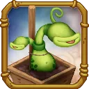 Potbelly (Young, DoF)