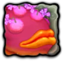 Rare Brump