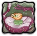Rare Squot