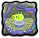 Squot