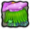 Adult Blasoom